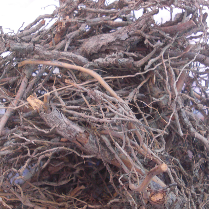 正宗中药材南方红豆杉树根树皮中药材紫杉醇防病抗病泡酒500g包邮