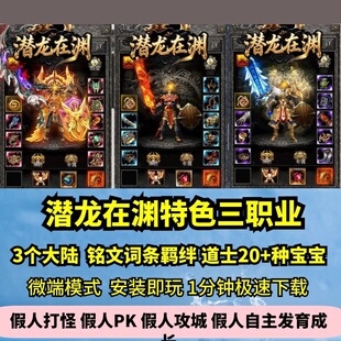 潜龙在渊特色三职业3大陆热血传奇单机版道士20多种宝铭文GM微端