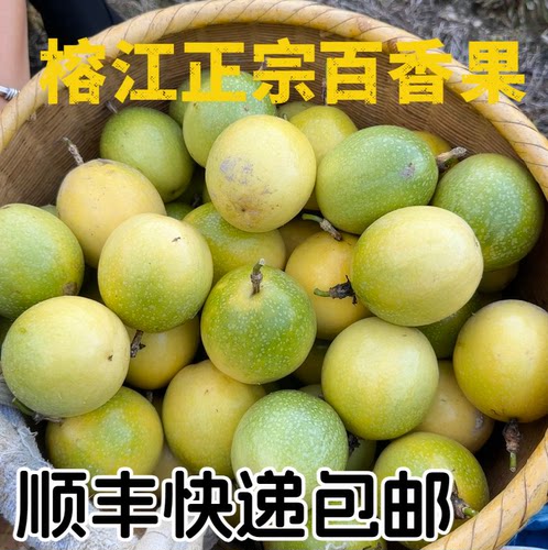 【顺丰包邮】贵州榕江村超正宗百香果新鲜水果高山钦密9号黄金大
