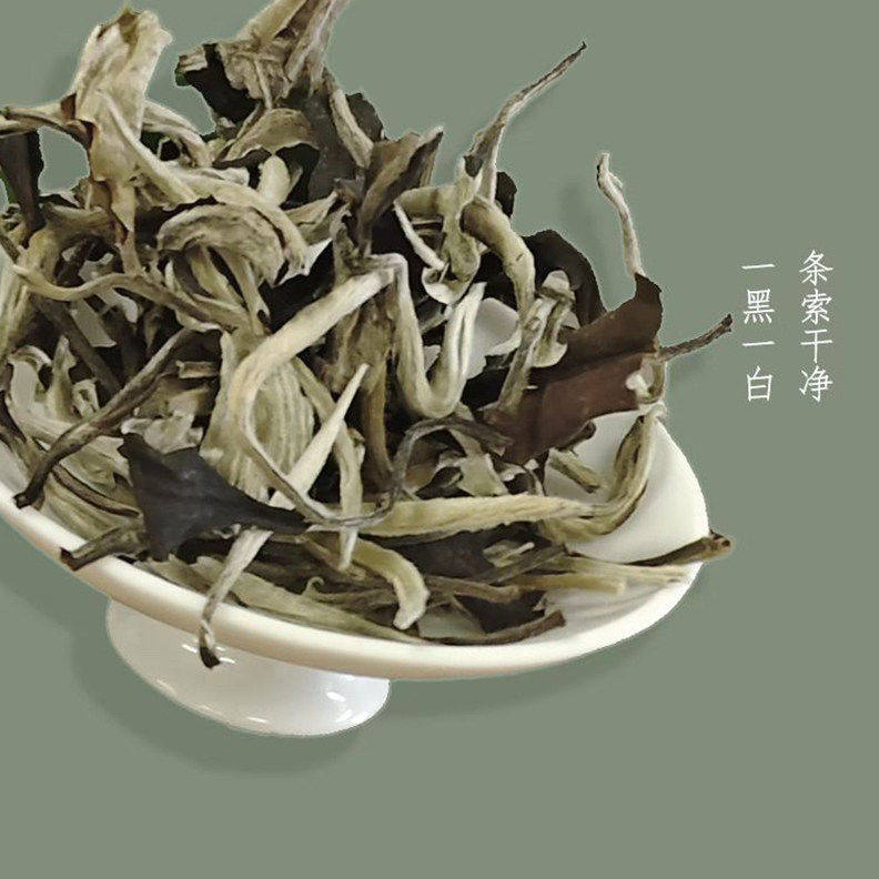 早春迷你月光白云南普洱茶生茶散茶茶叶一芽两叶散装小包装250g