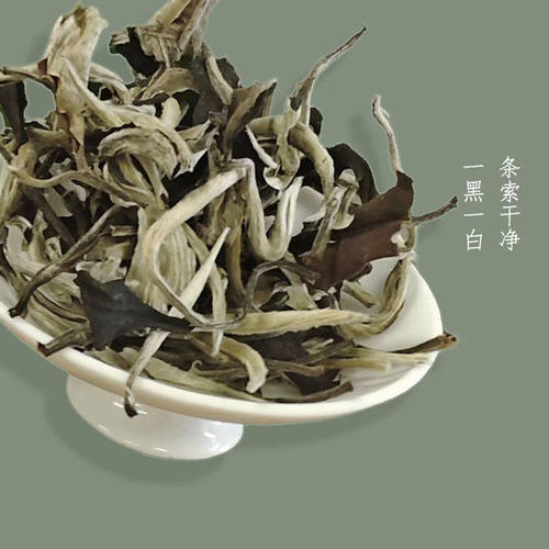 早春迷你月光白云南普洱茶生茶散茶茶叶一芽两叶散装小包装250g