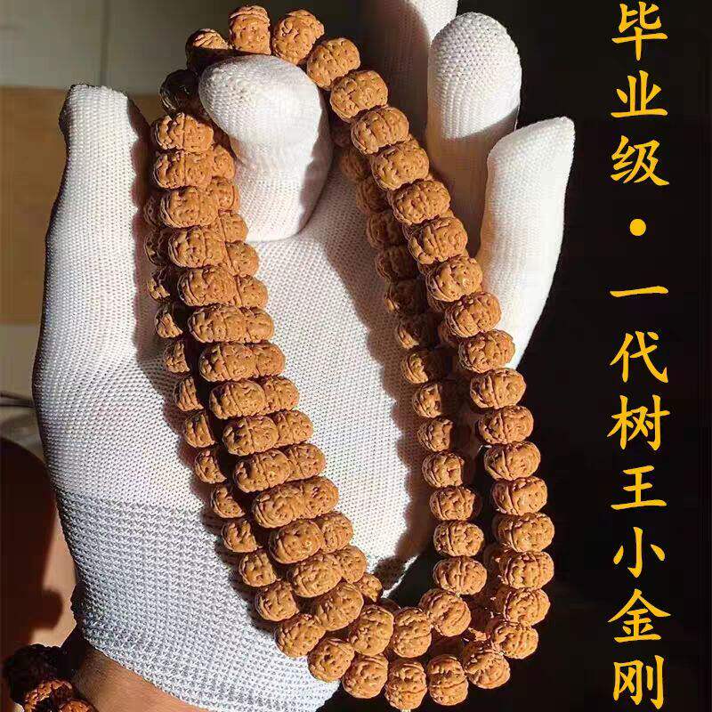 1代金刚老树王籽小金刚菩提子108颗长串原籽男手串手链紫金鼠手串