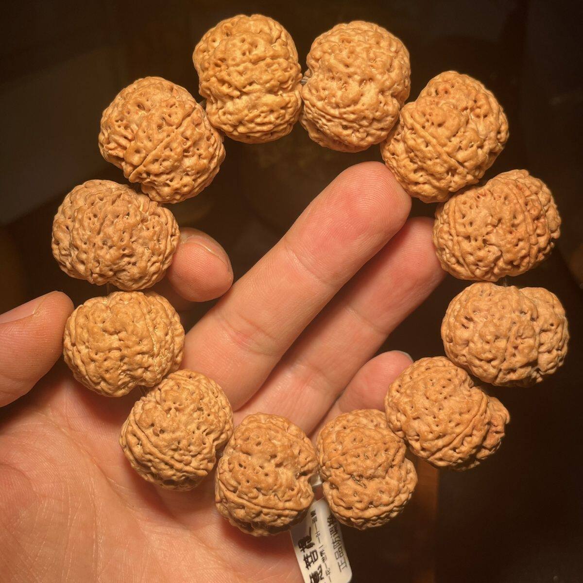 尼泊尔大金刚菩提子手串原籽收藏级精品老树满肉蜂窝双龙文玩手串
