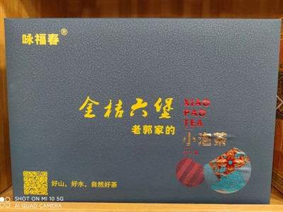 桂林咏福春128克金桔六堡