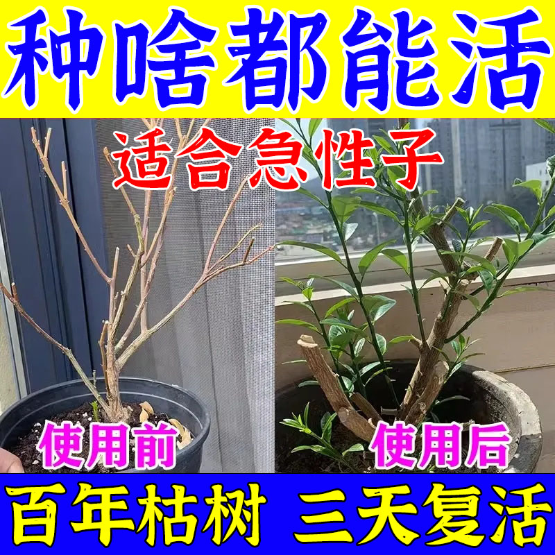 【种啥都能活】植物复活液大枯树花卉家庭园艺成活营养再生爆根剂 鲜花速递/花卉仿真/绿植园艺 家庭园艺肥料 原图主图