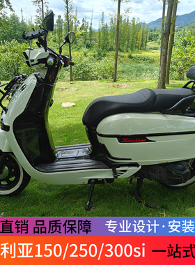 适用于维多利亚Sixties150/250/300si后货架后靠背尾架靠背改装件