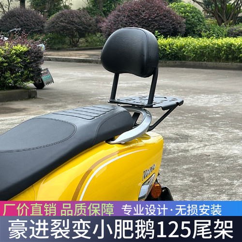 适用于猎变小肥鹅125尾箱架载物架复古踏板后货架摩托车改装配件