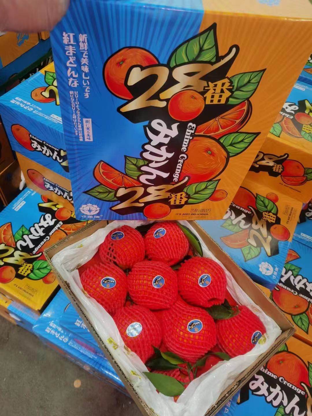 新鲜水果 四川丹棱爱媛38号果冻橙匠心至极桔橙 橙子7.5斤大果,水产肉类/新鲜蔬果/熟食,橙,淘宝优惠券,粉丝福利购,淘宝优惠卷