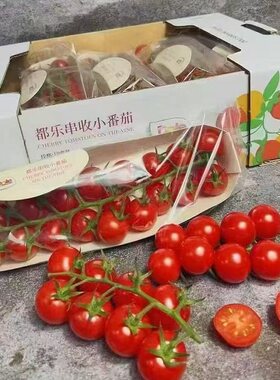 都乐串收小番茄小柿子200克每袋