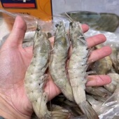 王牌大虾鲜活速冻盐单冻南美厄瓜多尔白虾3040青虾海虾净3斤礼盒