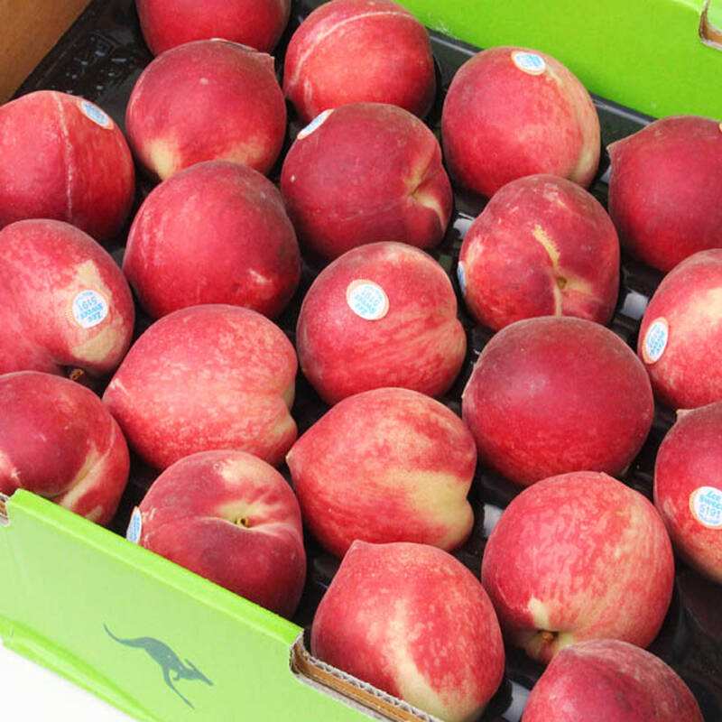 澳洲进口水蜜桃毛桃3斤装现货