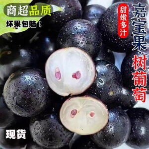 顺丰冷链嘉宝果新鲜水果沙巴树葡萄现摘孕妇罕见稀有水果现摘现发