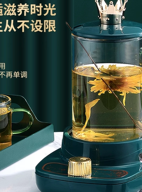 多功能迷你电热水杯烧水杯煮花茶杯分体高硼玻璃泡茶杯煮水杯礼品