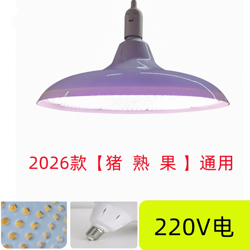 2026新国标灯螺口照明照菜白光灯螺丝口国标白光显红灯