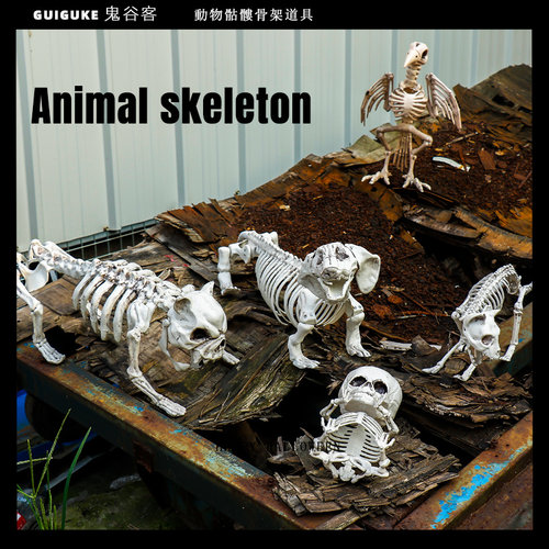 鬼谷万圣节动物猫狗乌鸦骨架新款