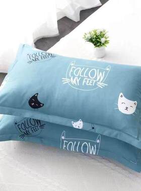 40x45x50x55x60x65x70x75x80x90加大枕套一对装48×74背靠枕新款