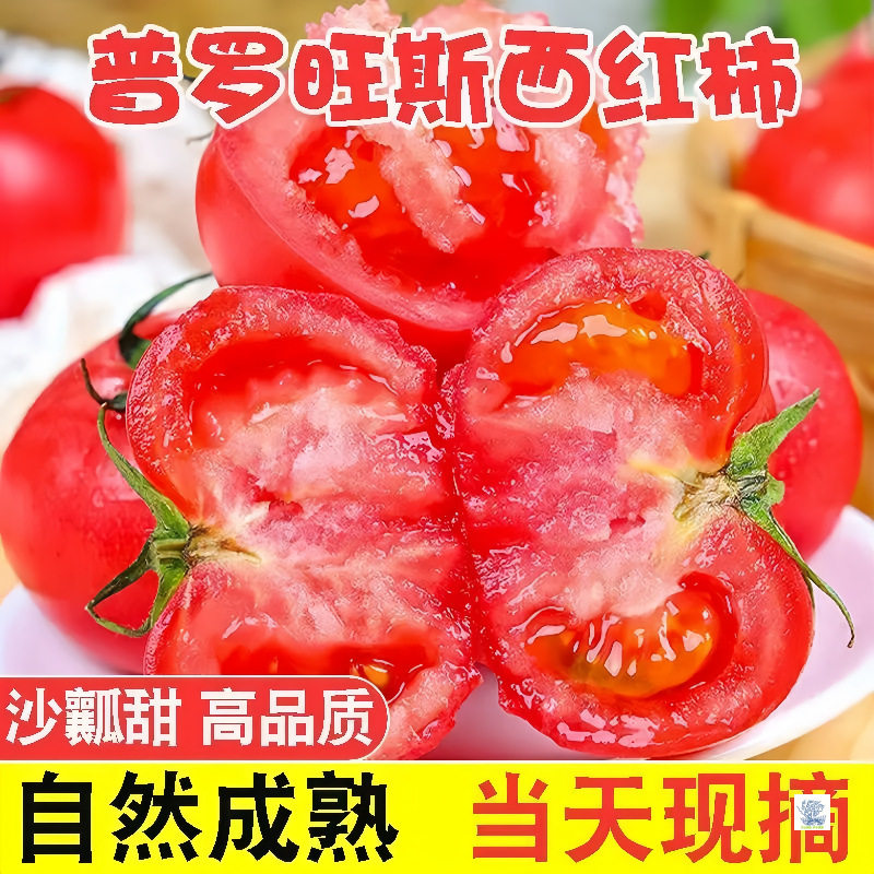 正宗普罗旺斯西红柿新鲜现摘当季蔬菜自然熟沙瓤番茄生吃水果,水产肉类/新鲜蔬果/熟食,黄瓜,淘宝优惠券,粉丝福利购,淘宝优惠卷