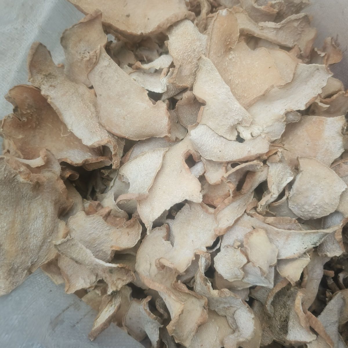 贵州蛇莲 雪胆 曲莲 罗锅底 金龟莲金腰莲苦金盆 包邮