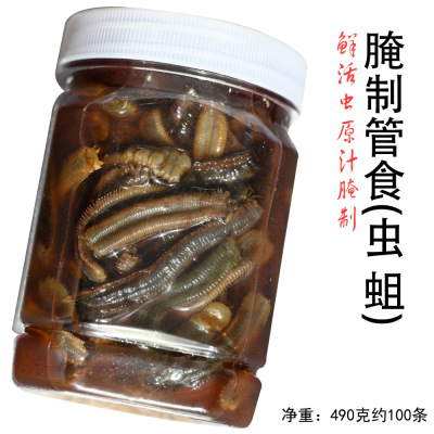 海钓鱼饵钓饵腌制管食管虫海蛆管食鱼食沙蚕黄三黄姑白姑黑头黄鱼