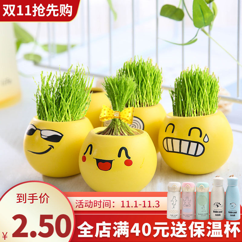 Green potted Office Mini plant Grass plant QQ Expression Grass head doll desktop Eco-Bottle Small pottedin the Flower delivery/Flowers simulation/Plants gardening , Creative mini-plant  category - from Buy2taobao.com to provide professional Taobao agent buy service