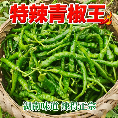 湖南青椒特辣辣劲十足爽到冒汗