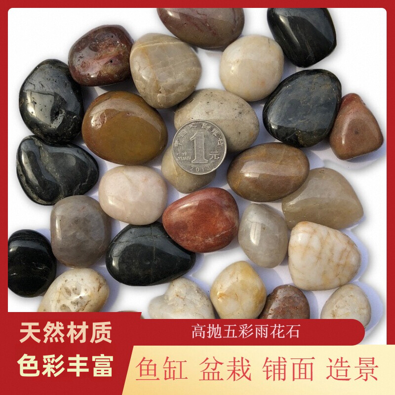 五彩色天然鹅卵石南京雨花石园林多肉花盆鱼缸装饰石头小石子庭院