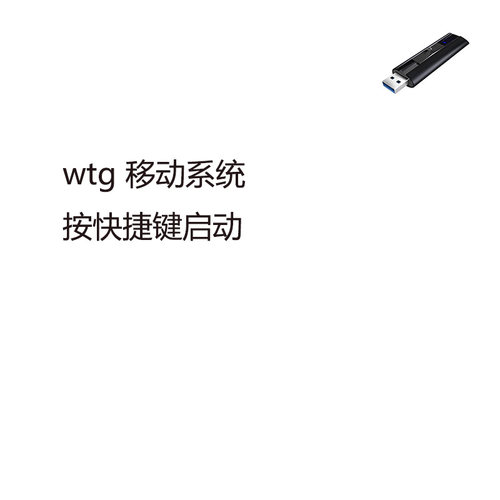 适用于w8 w10 w11 外置移动口袋系统 wtg u盘即插即用  win to go