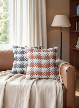 默色空间新品雾灰色几何图案双面抱枕雾橙色中古风含羽丝棉芯靠垫