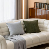 默色空间雪尼尔双面抱枕超柔软中古橄榄绿高级感含芯沙发大靠垫套