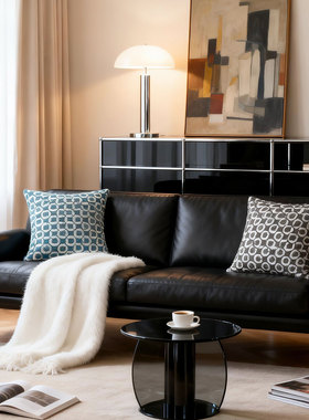 默色空间雀蓝墨灰圈绒双面抱枕中古包豪斯客厅沙发高级感腰枕靠垫