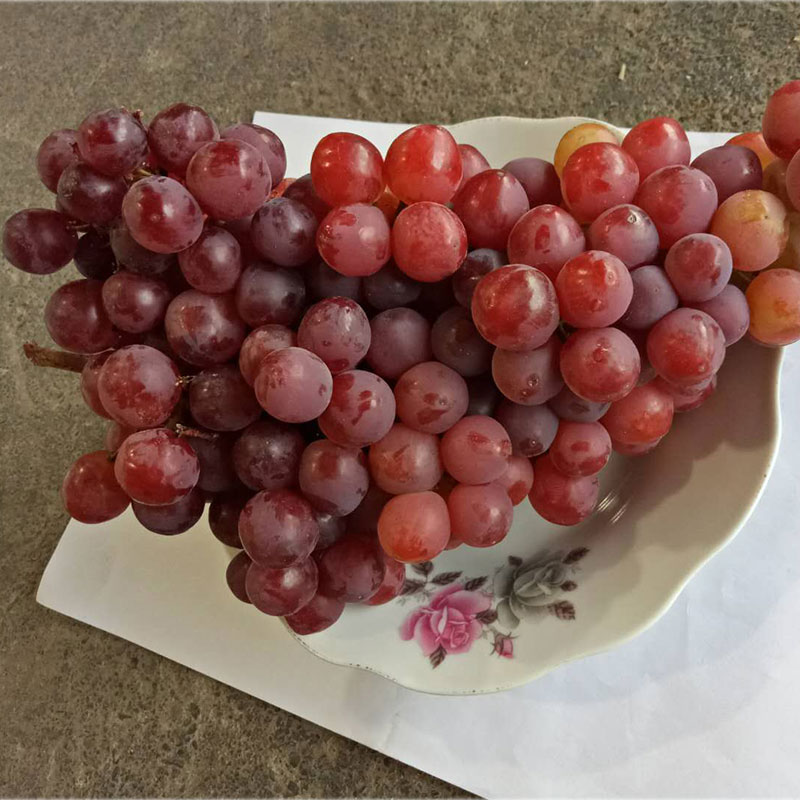 新疆吐鲁番火焰无核玻璃脆翠新鲜葡萄水果无籽提子孕妇顺丰包邮