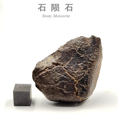 天然球粒石陨石科普教学标本镍铁