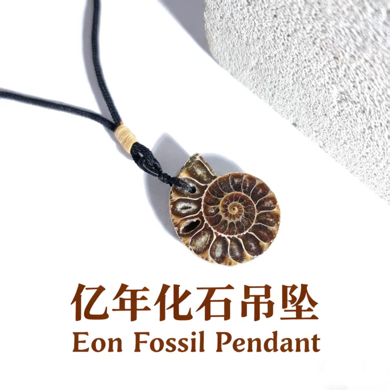 天然马达加斯加白垩纪菊石化石吊坠饰品挂坠项链地质科普教学标本