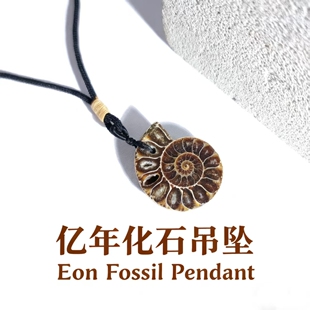 天然马达加斯加白垩纪菊石化石吊坠饰品挂坠项链地质科普教学标本