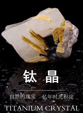 天然钛晶巴西金红石原石金发摆件
