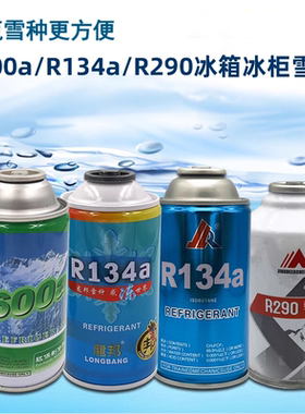 高纯度小瓶R600a冰箱制冷剂R134aR290冰柜冷媒雪种冰种汽车氟利昂