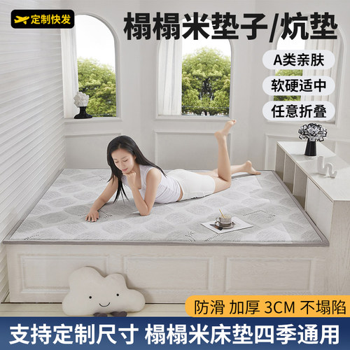 新款四季通用榻榻米垫子支持定制