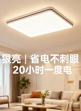 米家APP智能吸顶灯简约现代