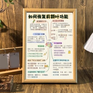如何恢复前额叶功能关注提升自我自律治愈系桌面相框摆台墙面挂画