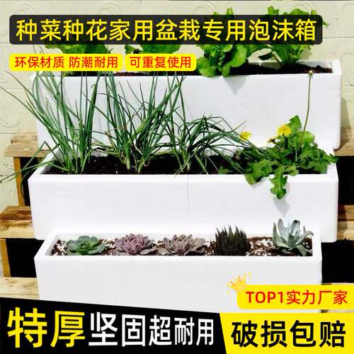 楼顶种菜专用泡沫箱超大