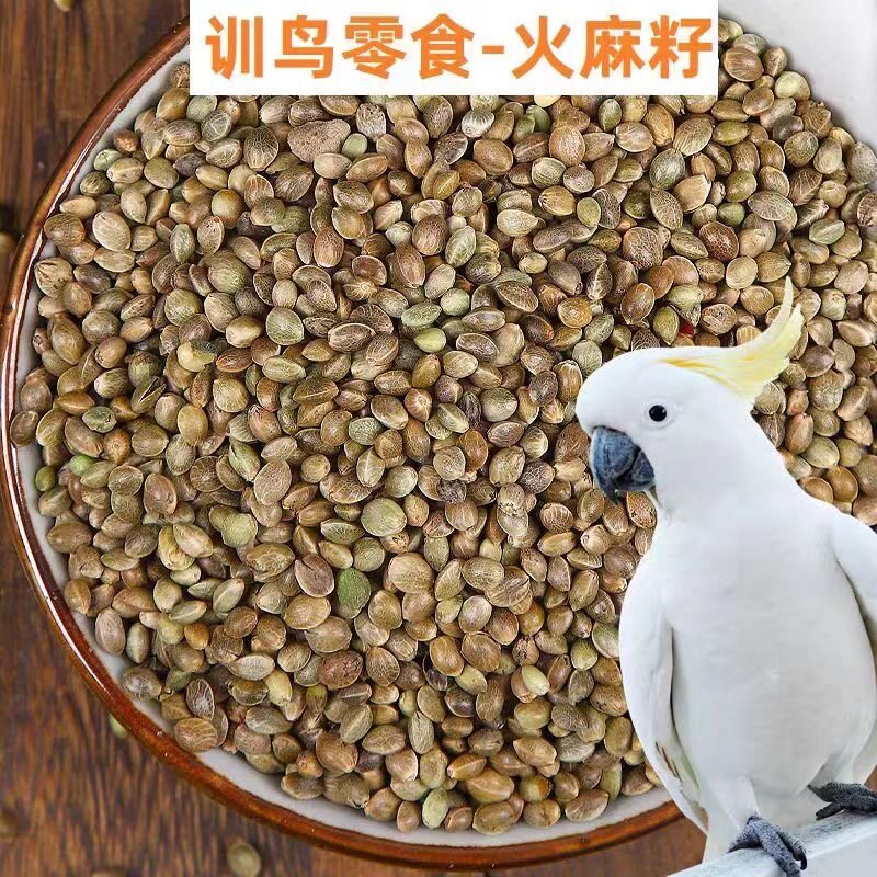 麻籽火麻子大小颗粒火麻仁仓鼠鹦鹉鸟食松鼠粮鸽粮鸟饲料产地直销