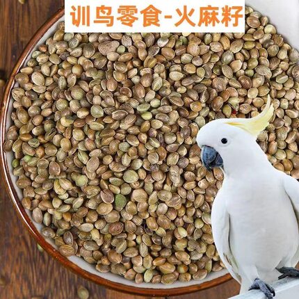麻籽火麻子大小颗粒火麻仁仓鼠鹦鹉鸟食松鼠粮鸽粮鸟饲料产地直销