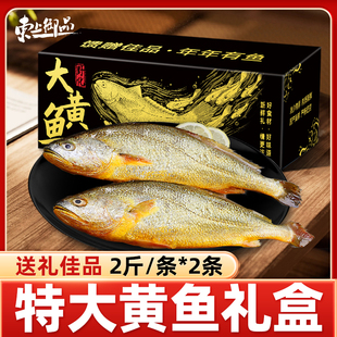 东上御品特大黄花鱼正宗新鲜冷冻鱼类礼盒深海整条黄鱼国产海鲜p