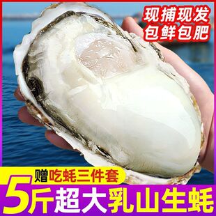 东上御品正宗乳山生蚝鲜活特大牡蛎新鲜带壳海蛎子海鲜批发5斤