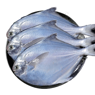 【东上御品】 银鲳鱼 450g(8-9条)*5袋 红烧清蒸