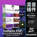 新版 DSP瓦哈拉混响延迟全套10个插件后期混音效果器编曲 Valhalla