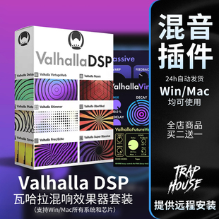 新版 DSP瓦哈拉混响延迟全套10个插件后期混音效果器编曲 Valhalla