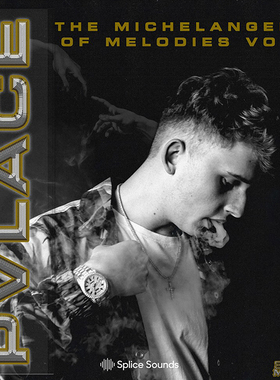 Pvlace Michelangelo Vol.1 豪华套装采样包Drum/Loop【买2送1】