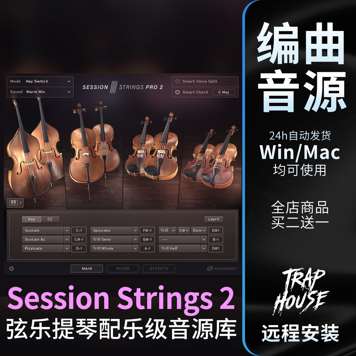 Session Strings Pro 2 弦乐小提琴编曲音源康泰克流行标准音色库