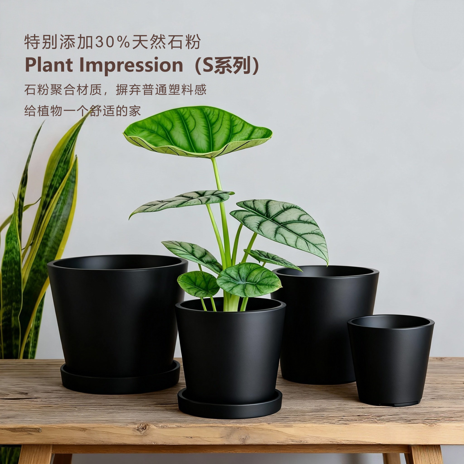 树脂圆形小花盆潮植盆器